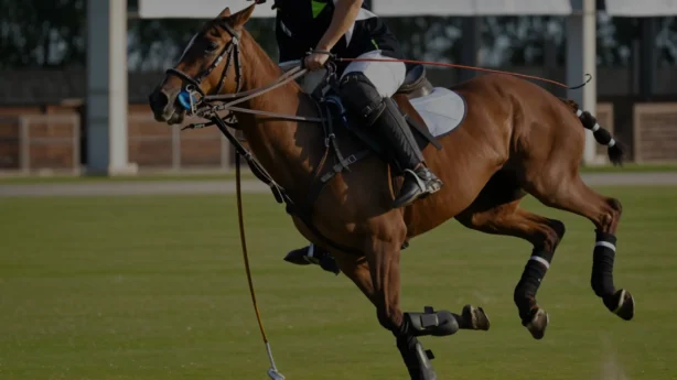 background fexsa video home